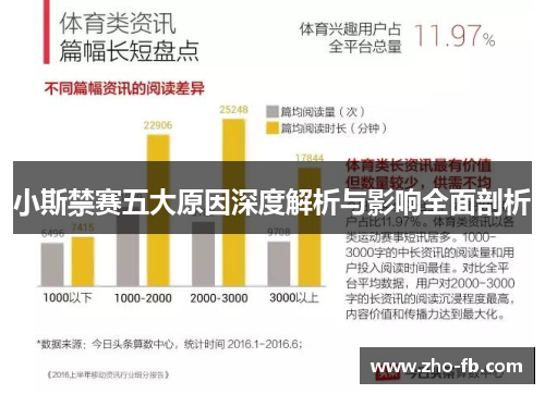 小斯禁赛五大原因深度解析与影响全面剖析